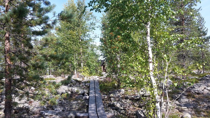 Katkavaara - Laponie