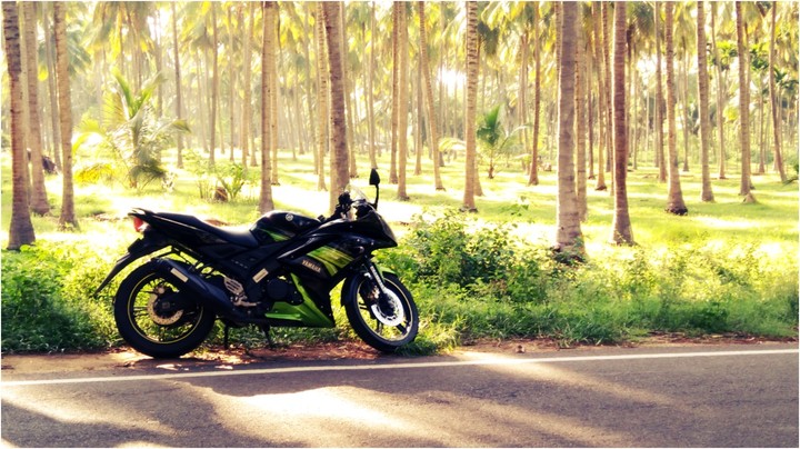 #R15 #Nature