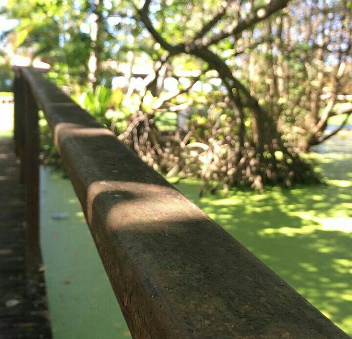 natureza