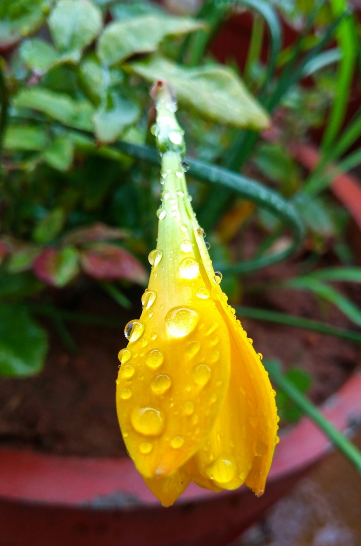 Nature beauty..