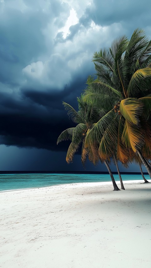 ocean, coast wallpapers