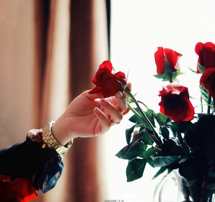 rose