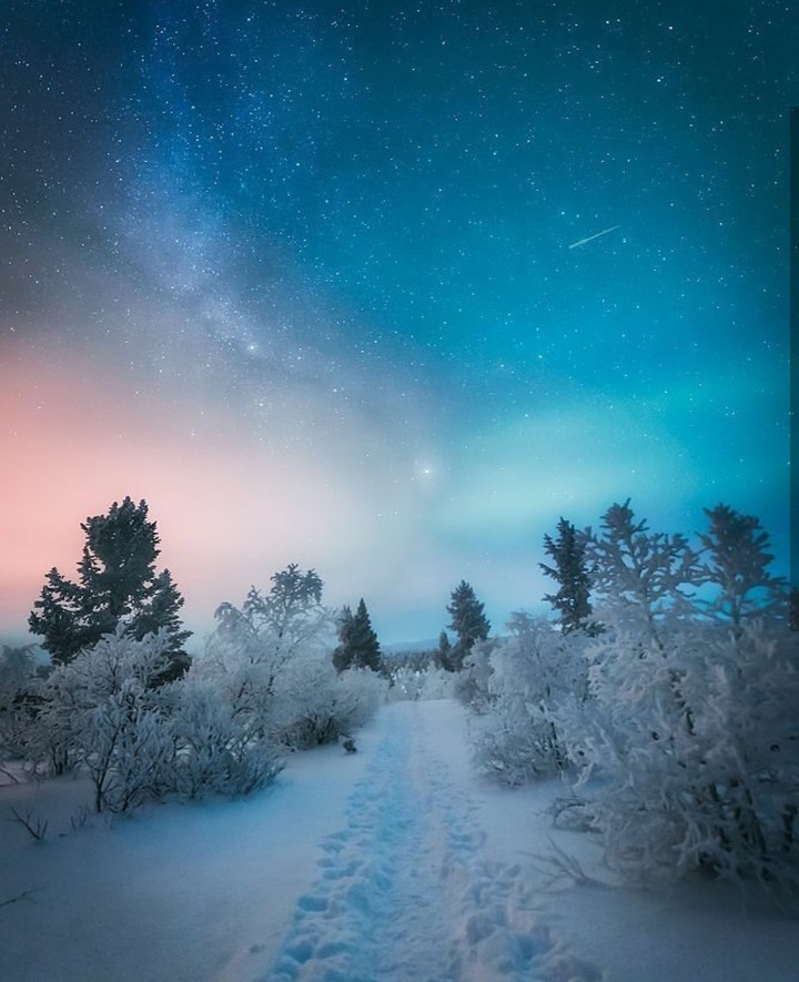 Winter night ❄️