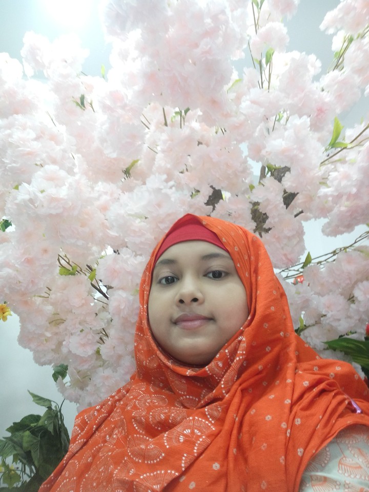 cherry blossom