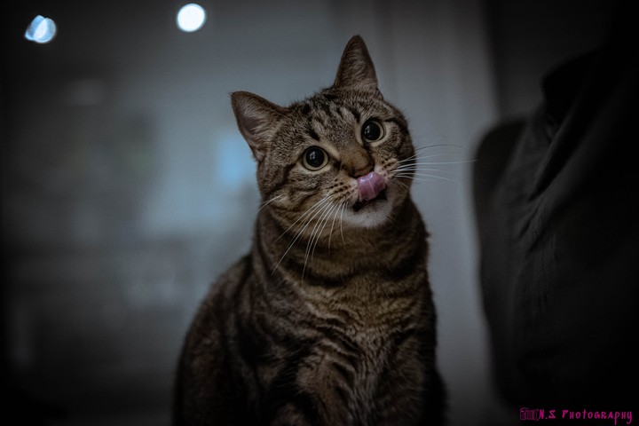 .
