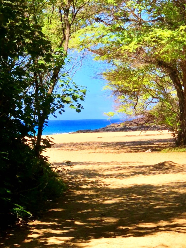 beach and water view