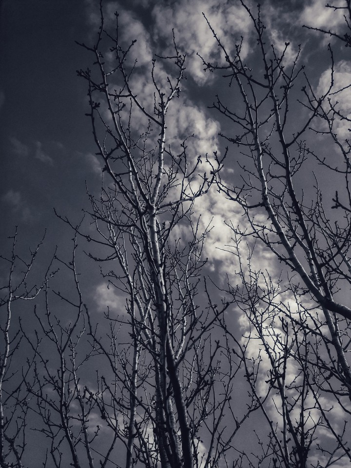 sky