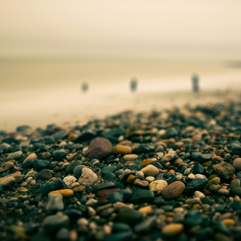the sea