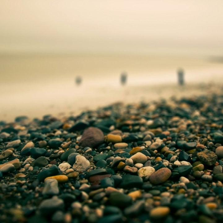 the sea