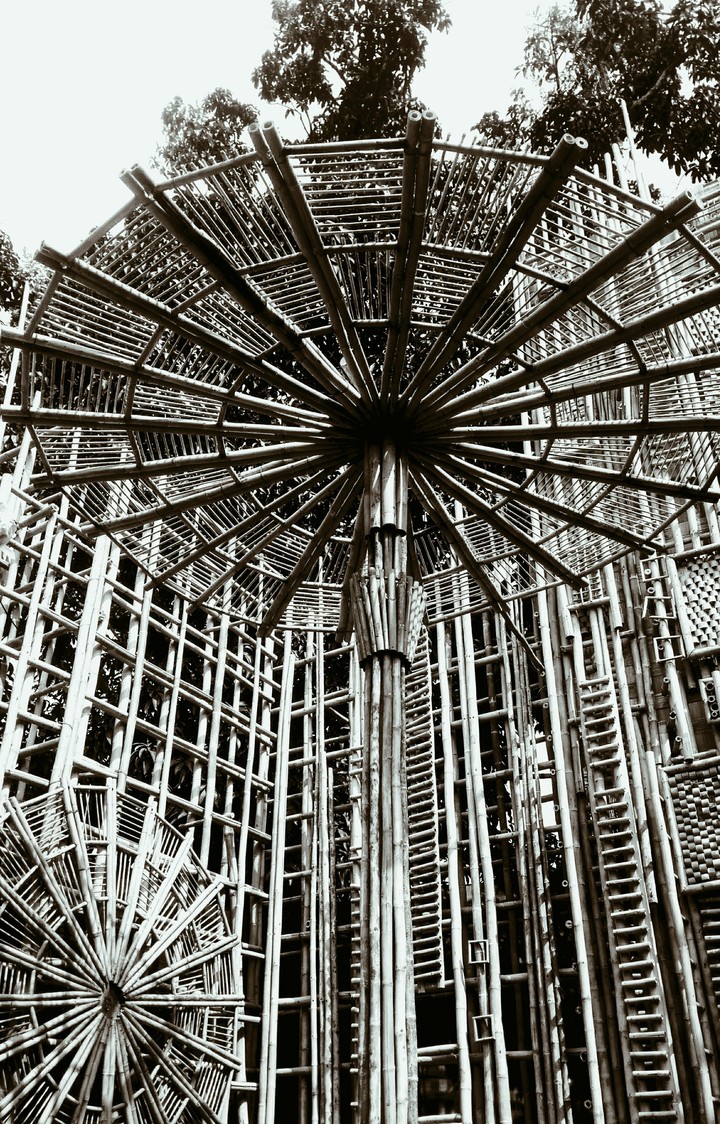 MONOCHROME