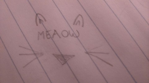 meaow