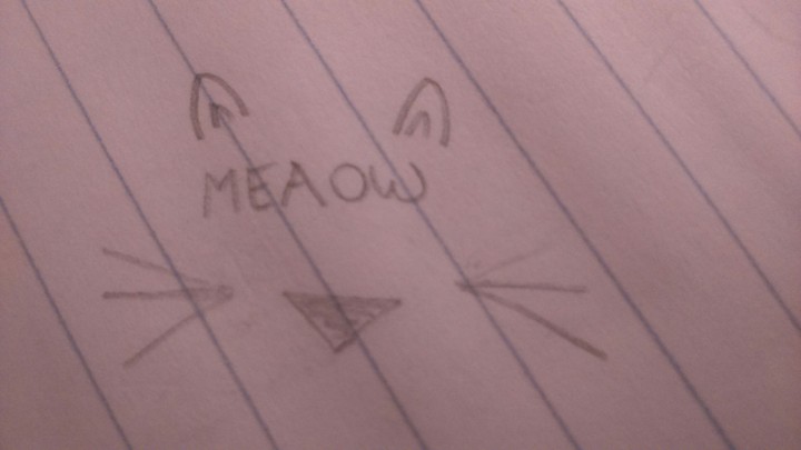 meaow