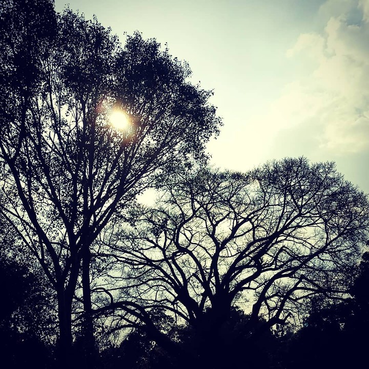 breaking dusk