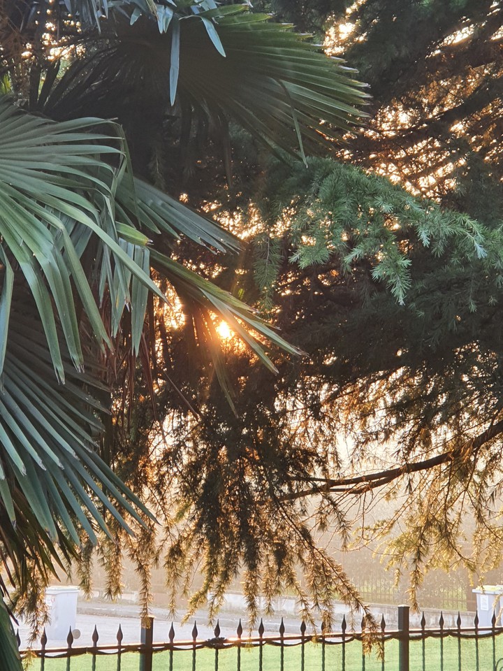 Autumn Sunset