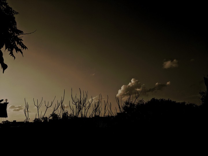 nature