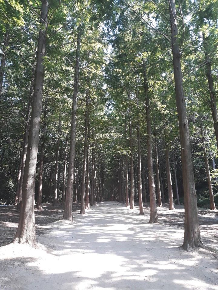 Ulsan Grand Park