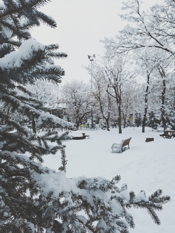Snow