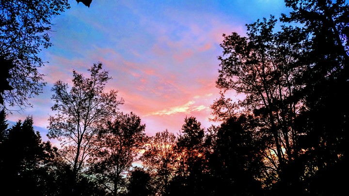 sunrise