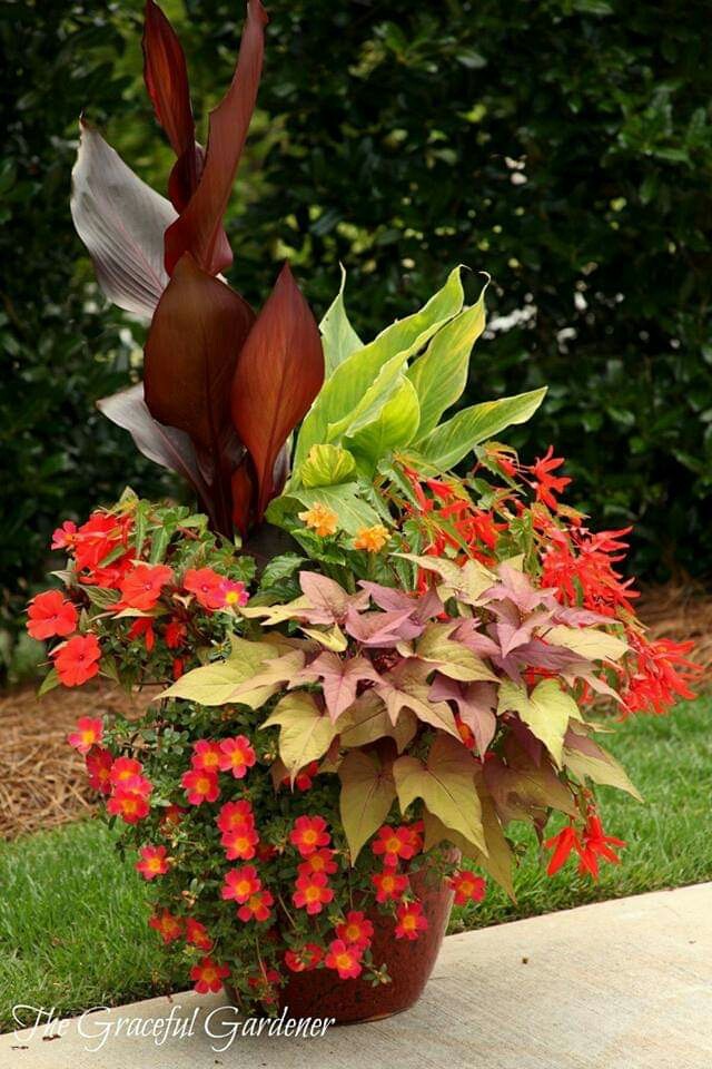 Naturaleza