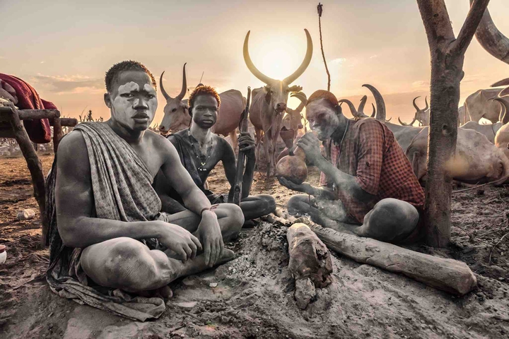african group of men in cattle camp in sunset
