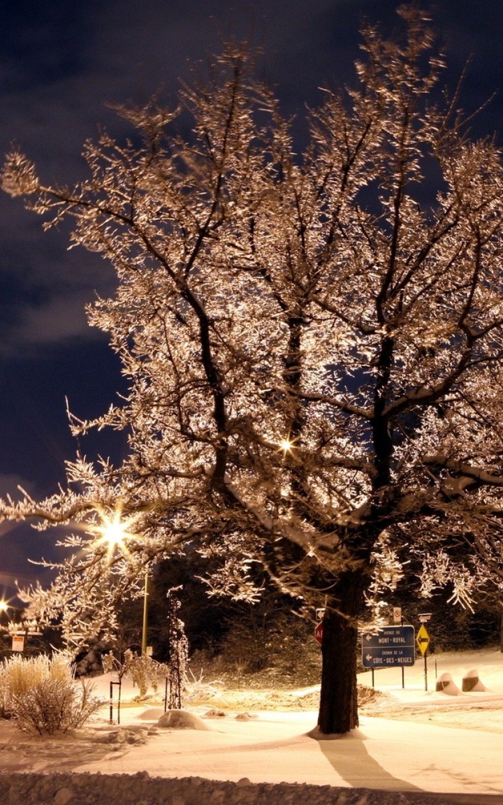 ᵂᴵᴺᵀᴱᴿ