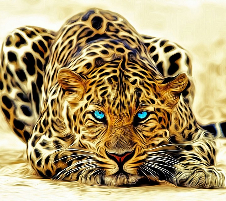 Animal
