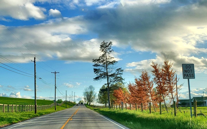 Moving To The Country....