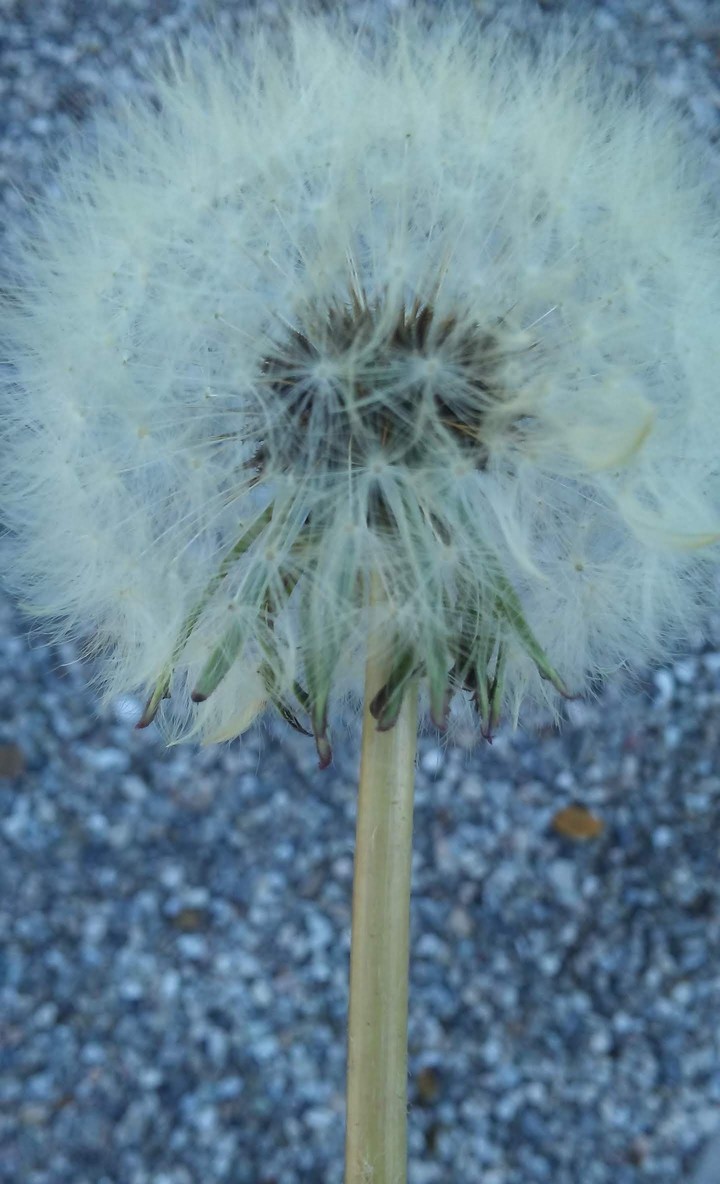 °^°