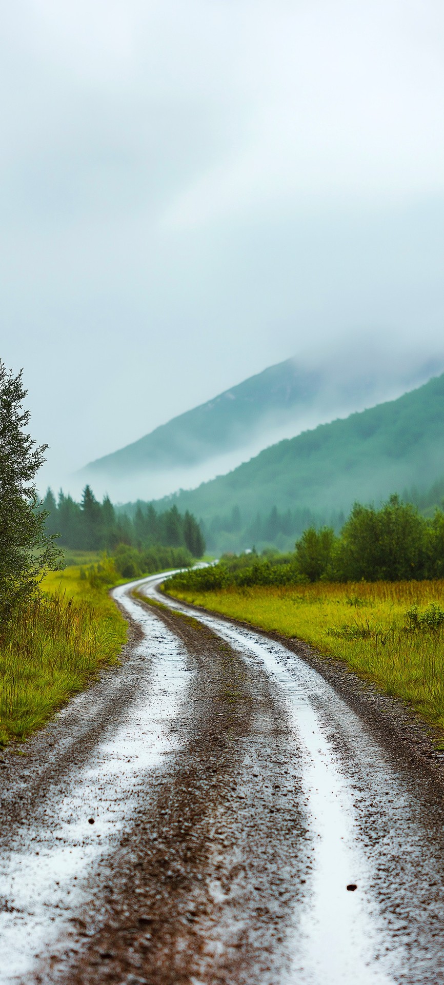 тапети Wilderness, nature