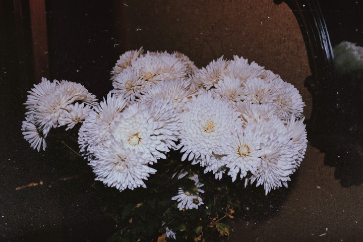 цветы