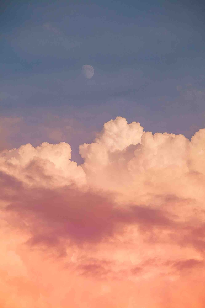 fly me to the moon
