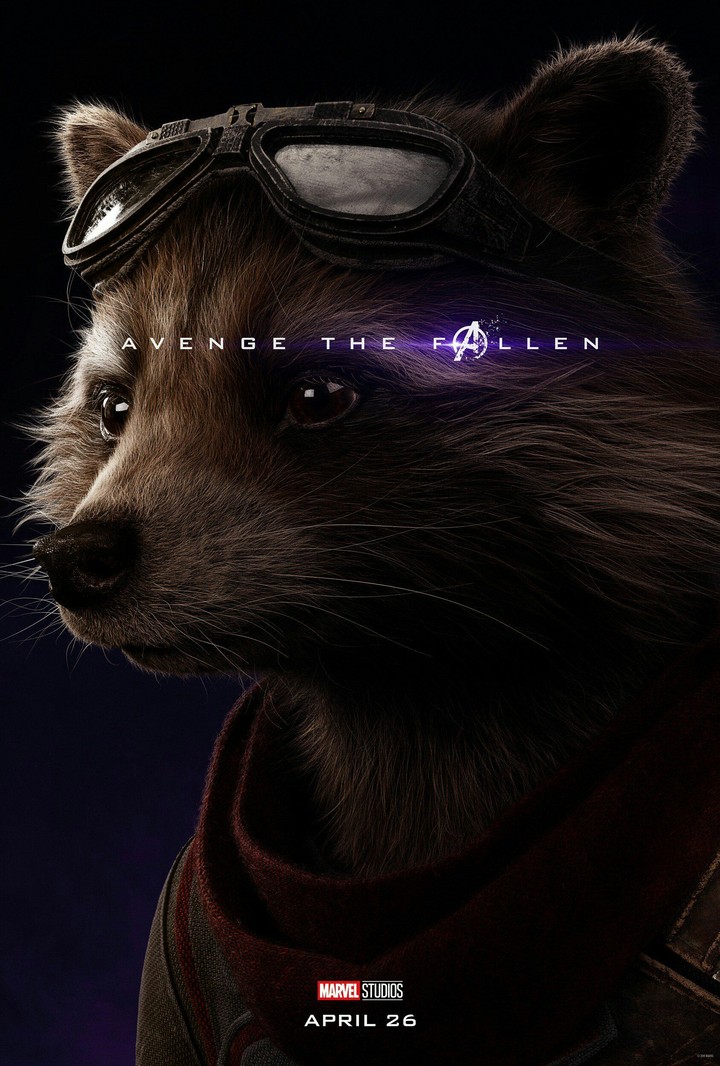 #RocketRacoon #AvengersEndgame
