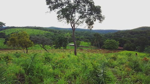 farm