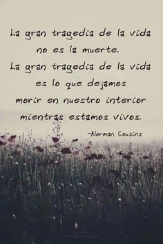 siiii
