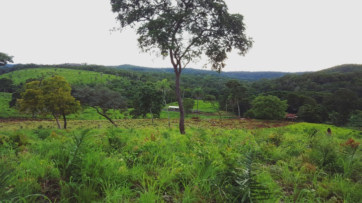 farm