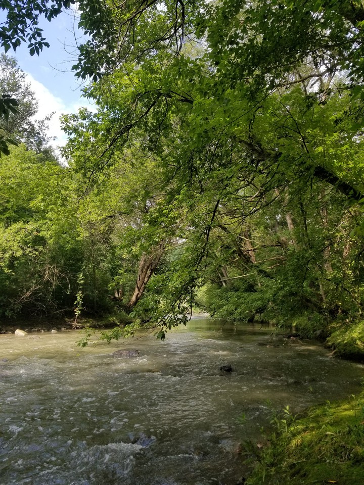 Nature