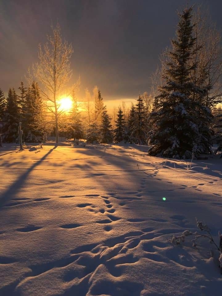 Winter in Alaska