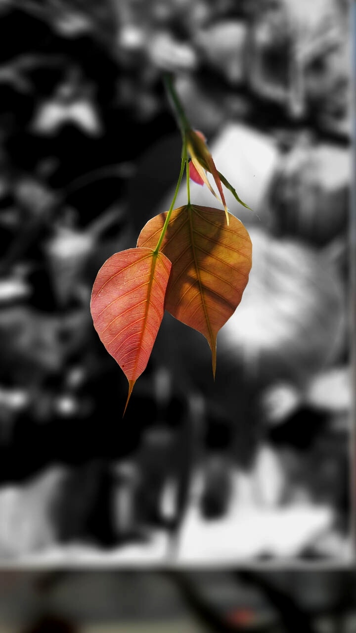 maditation