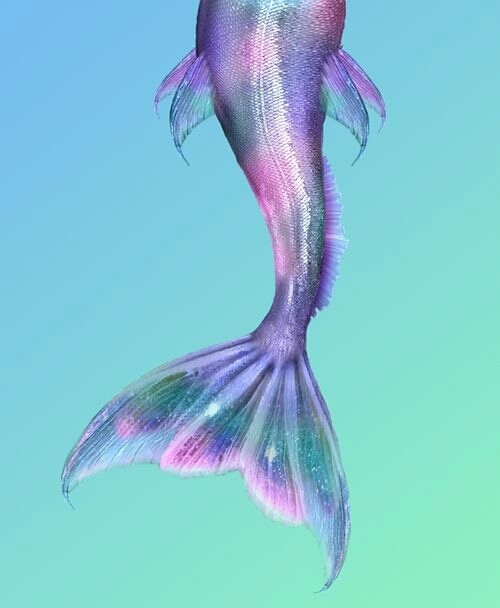 Shining Mermaid Tail