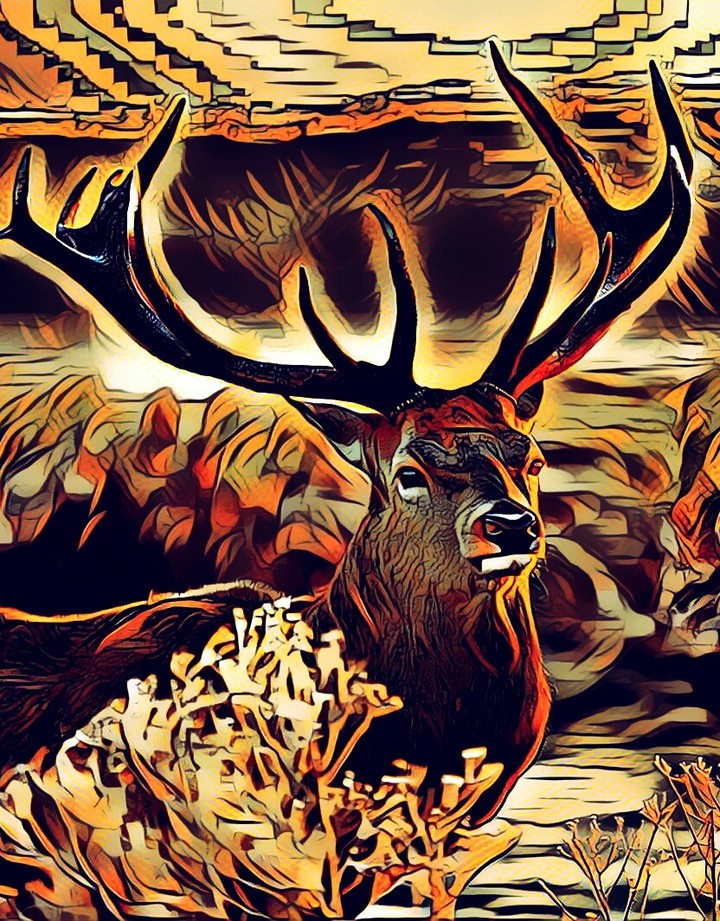 Stag