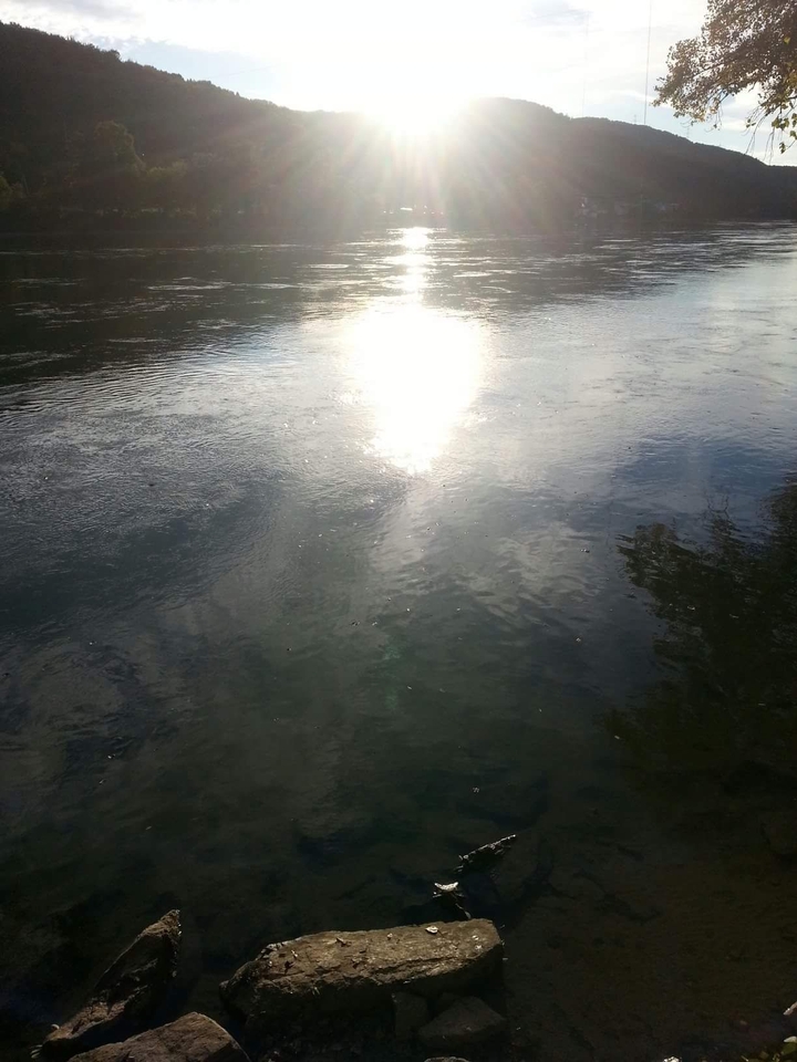 Rhein