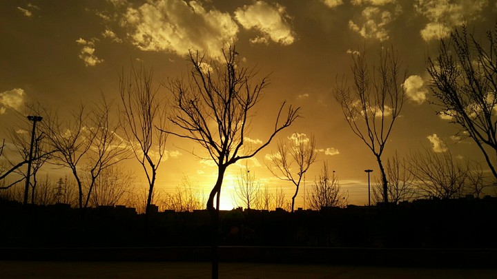 sunset