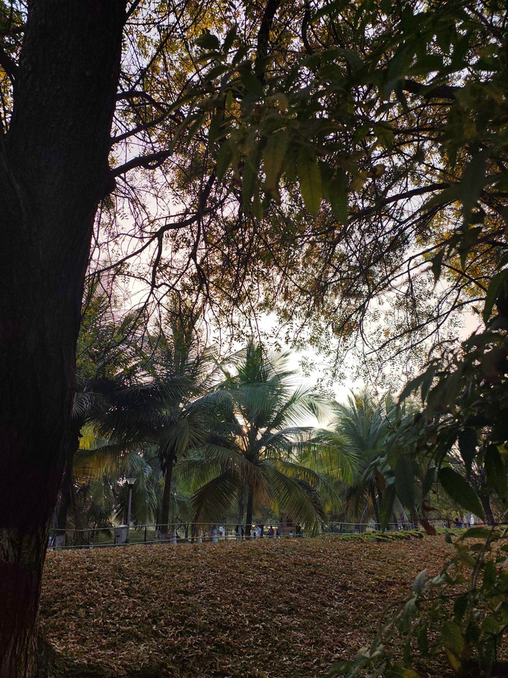 .