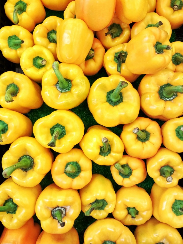 Capsicum