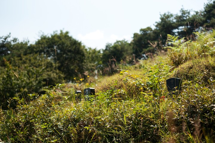 Cemetery