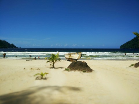 beach scene
