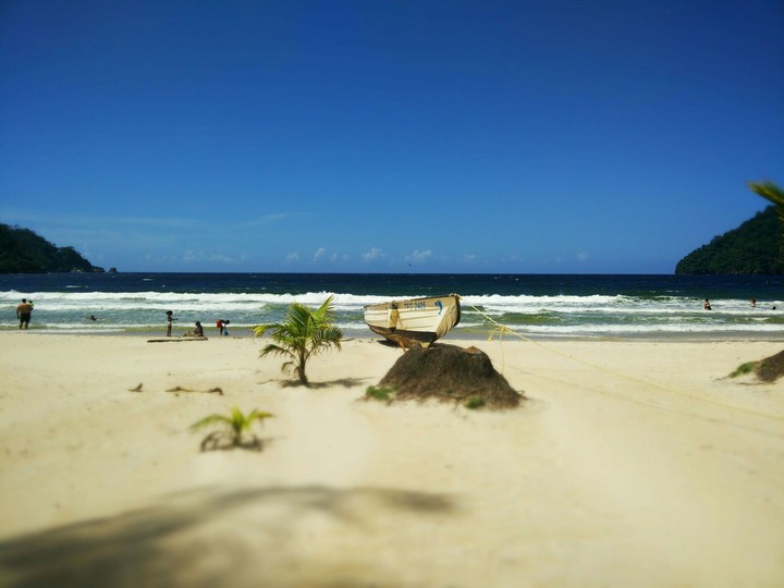 beach scene
