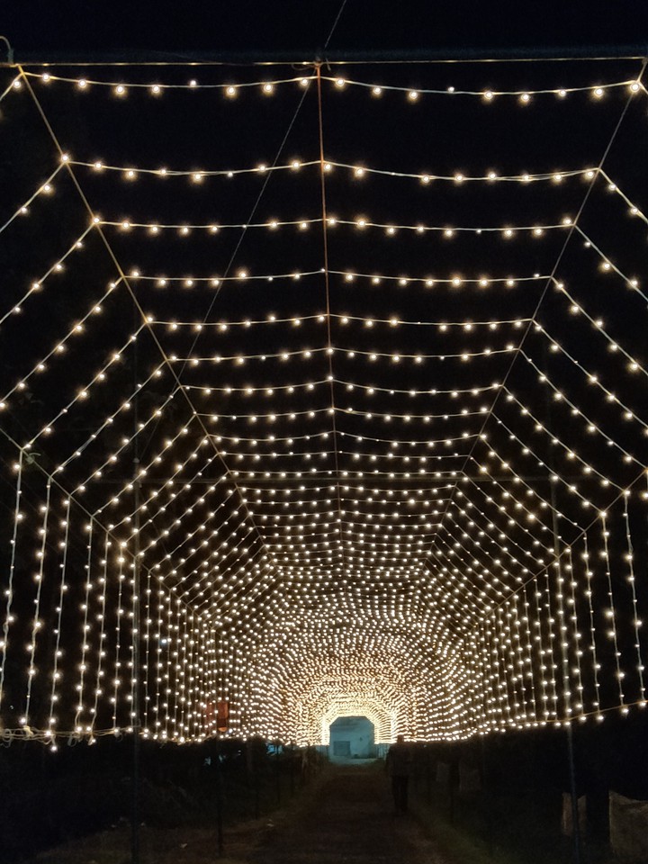 road lighting