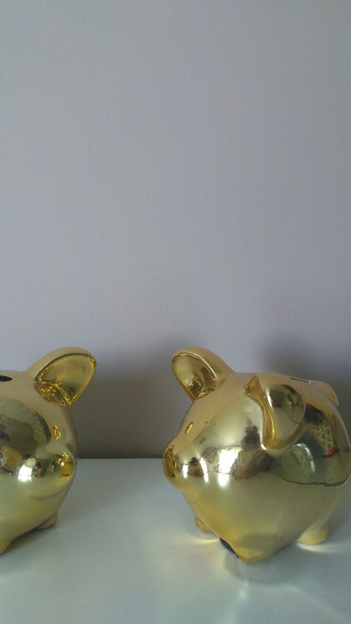 Pig