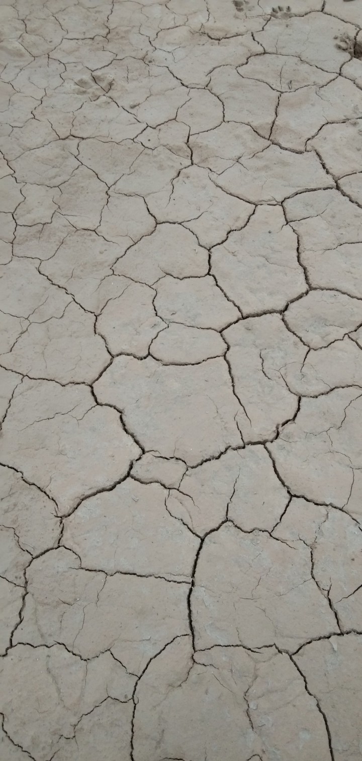 Earth